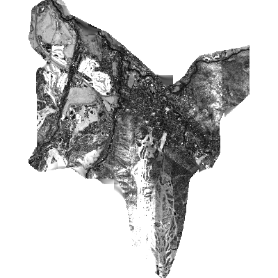 Export Image